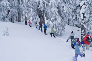 A group of 15 snowshoeing at Crater Lake on a blustery day. Photo by Jennifer Margulis.