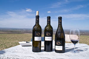 Walla Walla wines are delicious. The city of 31,000 is a food and wine destination. Photo of 3 wine bottles and a beautiful vista by Jennifer Margulis