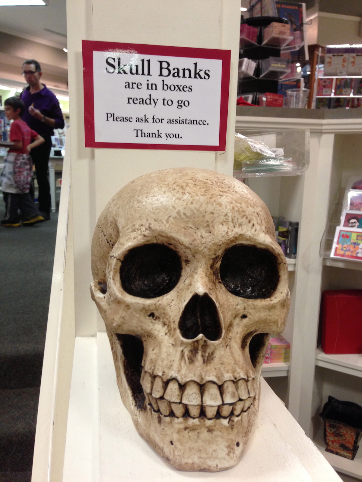 You can buy a skull piggy bank and a lot of other cool stuff at the Tudor Guild in Ashland, Oregon | Jennifer Margulis