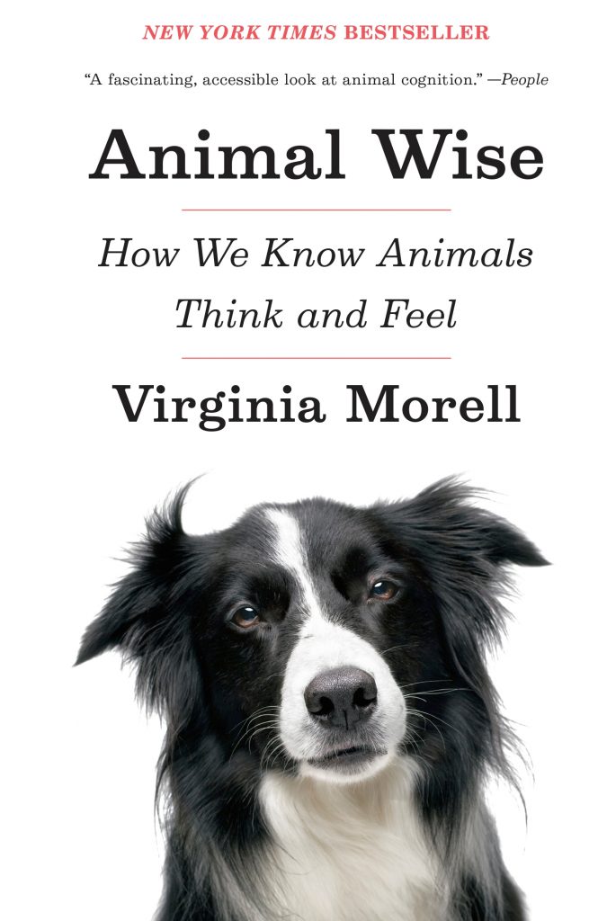 Cover of a new book by Virginia Morell, Animal Wise: How We Know Animals Think and Feel. Via Jennifer Margulis, Ph.D.