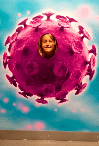 Tylenol disrupts the brain and may also harm the gut. Microbes are us. Photo of a girl playing inside a microbe by Jennifer Margulis taken at ScienceWorks.