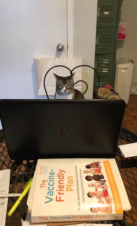 NYC doula's cat Sadie is reading the Amazon bestseller, The Vaccine-Friendly Plan by Dr. Paul Thomas and Dr. Jennifer Margulis