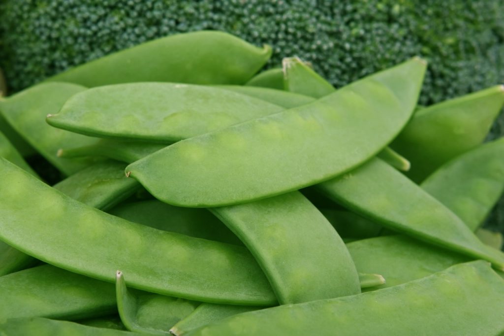 Cool, crunchy, and delicious. Give your child snow peas instead of potato chips next time they're looking for a treat | Jennifer Margulis, PhD