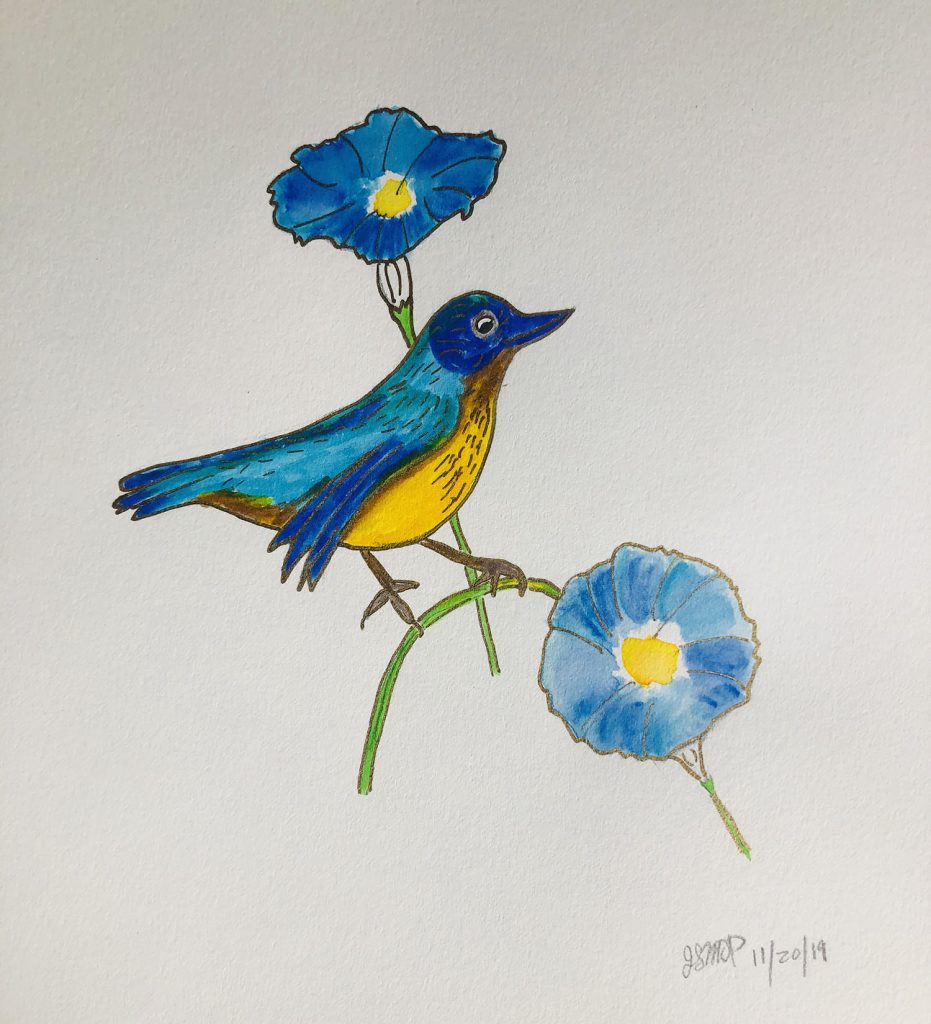 Watercolor blue bird on a morning glory. Coloring your life is fun and whimsical | Original art by Jennifer Margulis, Ph.D.