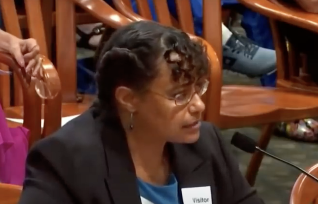 Dr. Christina Parks, PhD, testifying in Michigan, says the COVID vaccines do not prevent transmission and should not be mandated. | Jennifer Margulis